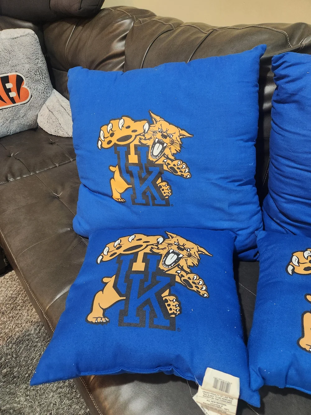 Vintage Northwest Kentucky WildCats Pillow Set 22×22 & 14×14 Size